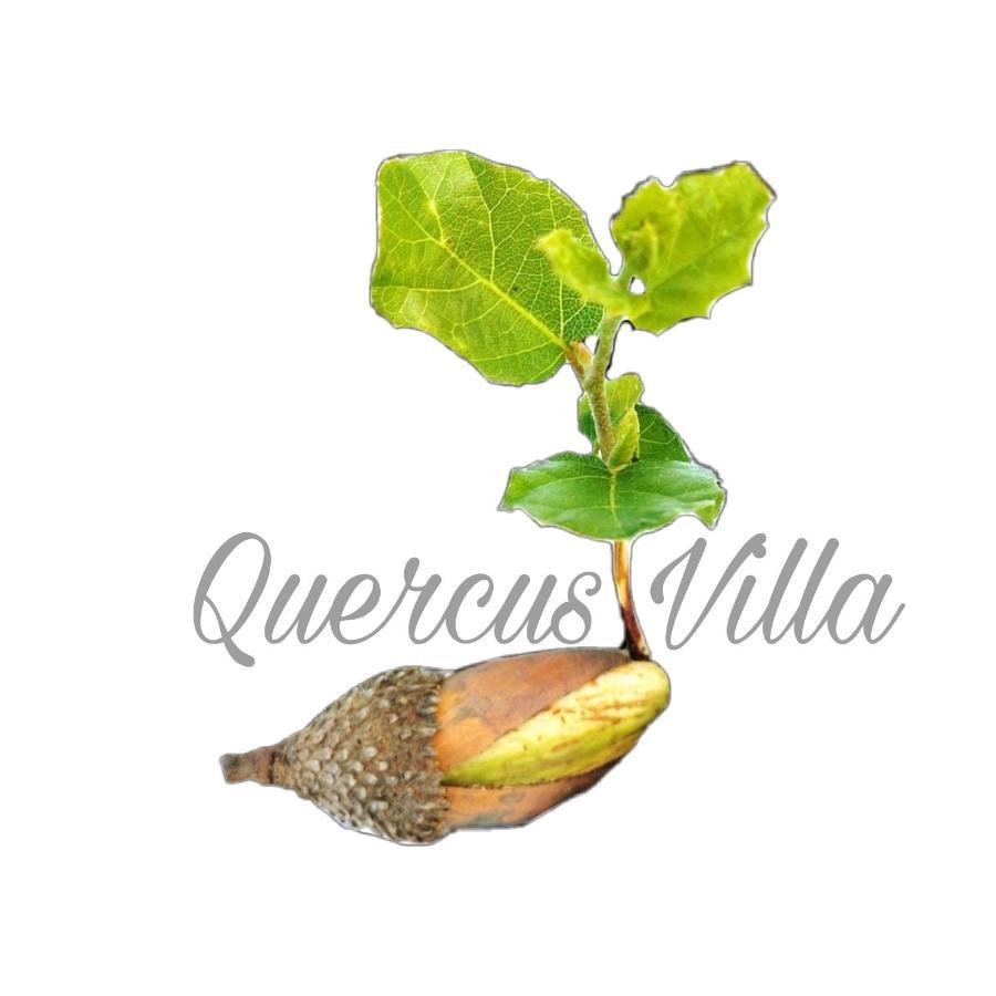 Quercus Villa Sesimbra Zewnętrze zdjęcie
